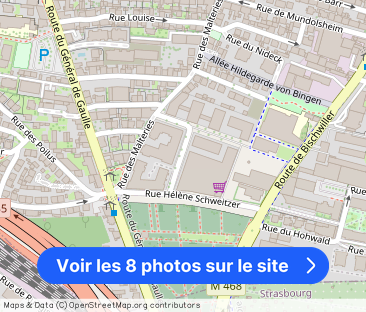 Rue du Maire Sorgus, Schiltigheim - Photo 1