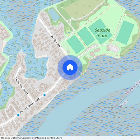 221A Princes Street East, Otahuhu, Auckland City