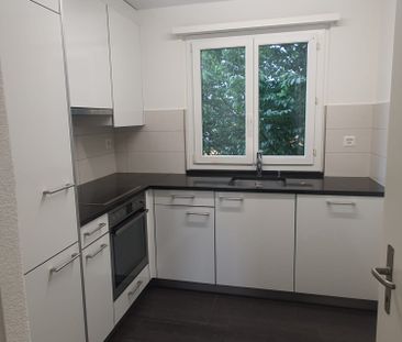 3 Zimmer, 56 m², 1. Stock - Foto 2