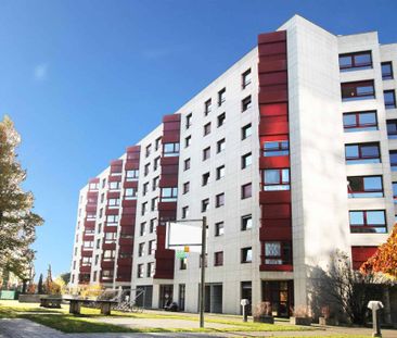 Appartement de 4 pièces à Champel - Foto 1