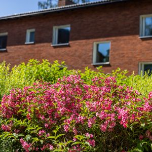 Åbymovägen 18 - Photo 2
