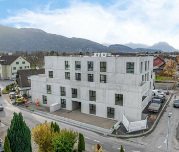 Oberdorfstrasse, 9444 Diepoldsau - Foto 2