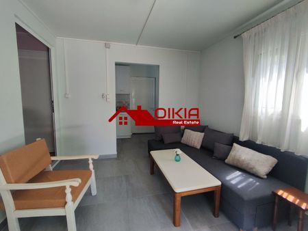 Μονοκατοικία για ενοικίαση Κέντρο (Αγριά) - Φωτογραφία 4