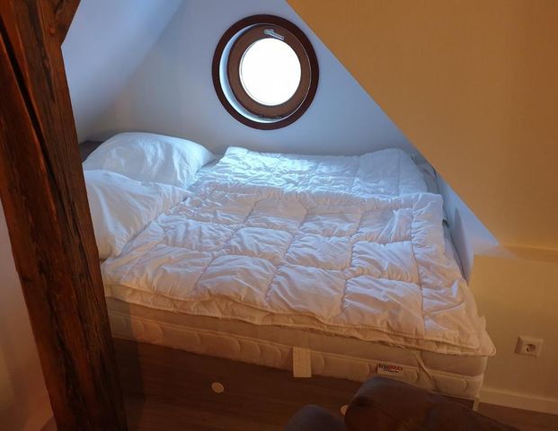 Wohnen auf Zeit über den Dächern von Zwickau - Foto 1