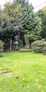 1 bedroom cottage to rent - Photo 4