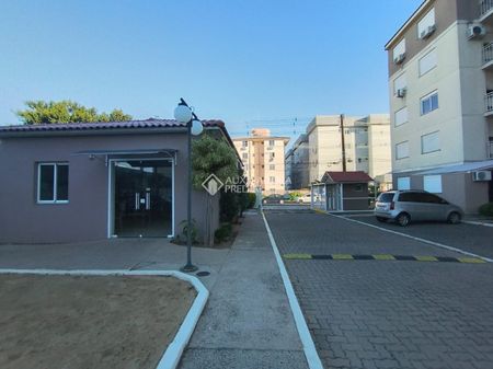 Apartamento com 3 quartos e 55m² para alugar em Igara, Canoas. - Foto 4