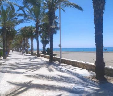 Algarrobo - Photo 5