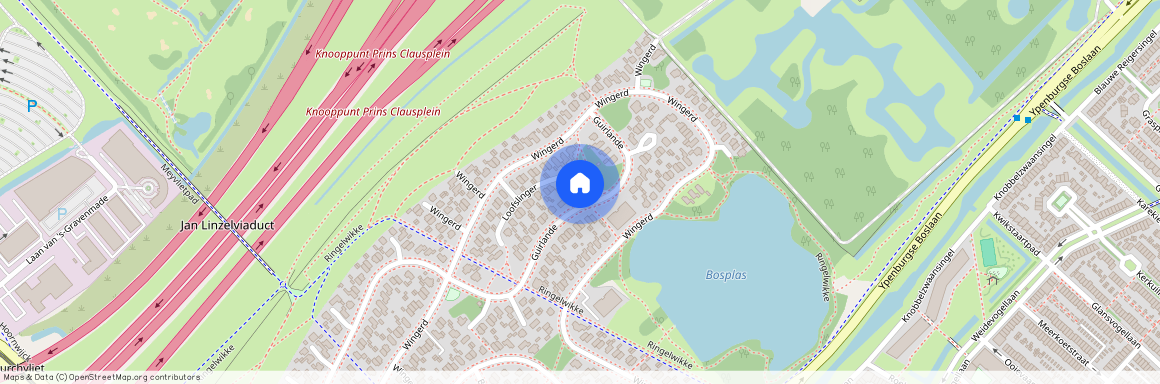 Guirlande 205, Bosweide, 2496WX, Den Haag