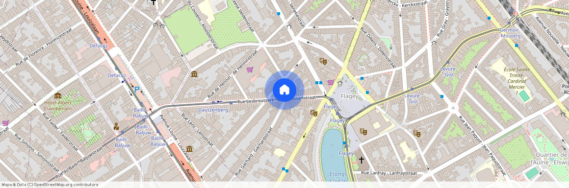 rue Lesbroussart 31/33, 1050, 1050, Ixelles