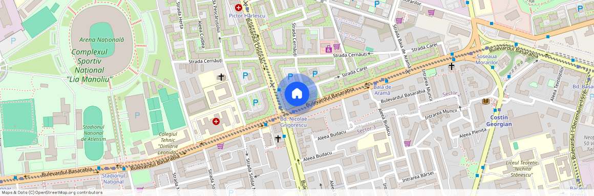 Basarabia, Bucuresti