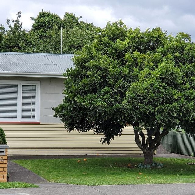 2 Bed Unit in Parkvale - Air Conditioning - Photo 1