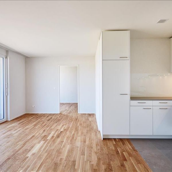 Schöne 3.5 Zimmer-Neubauwohnung zu vermieten - Photo 1