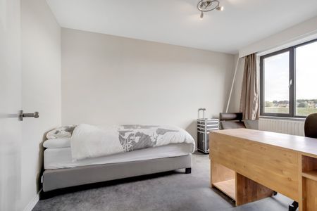 Huis te huur in Berendrecht met 2 slaapkamers - Photo 5