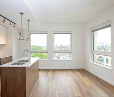 1/BD 1/BA, Plank Flooring, Open Floorplan - Photo 4