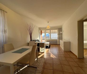 via delle aie 3a, 6900, Lugano - Photo 5