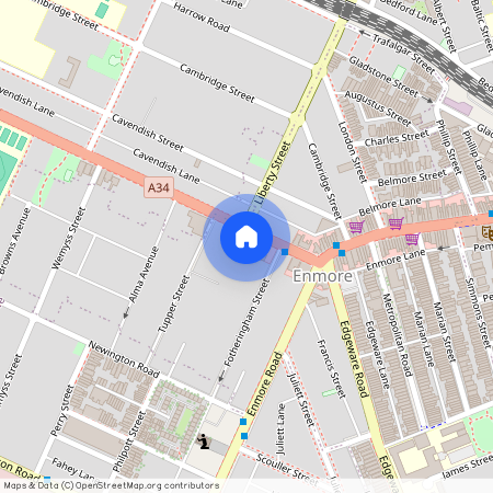 36 Stanmore Rd, NSW 2042, Enmore