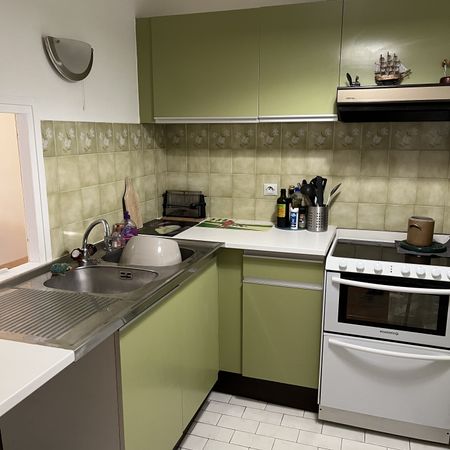 Location Appartement 2 pièces 44m² NOGENT SUR MARNE 94130 - Photo 3