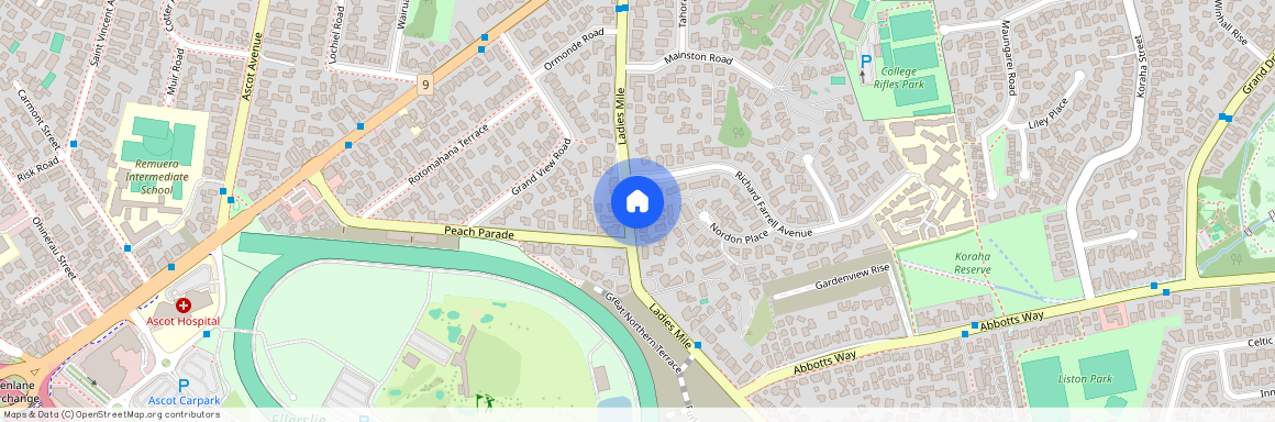 44 Ladies Mile, Remuera, Auckland City