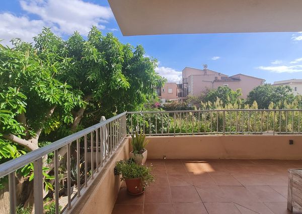 3 Carrer del Pingüí, Municipality of Palma, Balearic Islands 07610