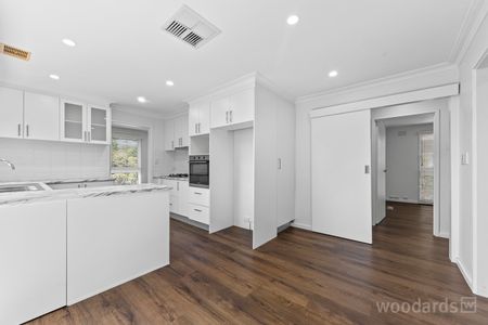 CHARACTER FILLED ENTERTAINER - Photo 3