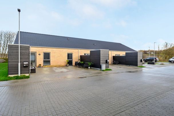 Moderne 2-værelses rækkehus til leje i Silkeborg - Foto 1