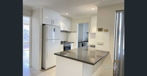 3 x 1 House with Huge Yard and Shed - Photo 1