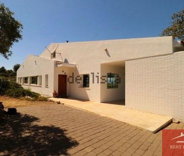 Alquiler de casa o chalet independiente en Calle Cañada de las Palomas - Photo 5