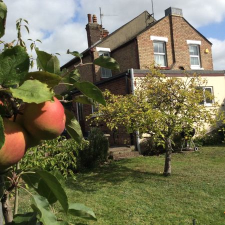 4 bed house to rent in Elmstead Road - Photo 4