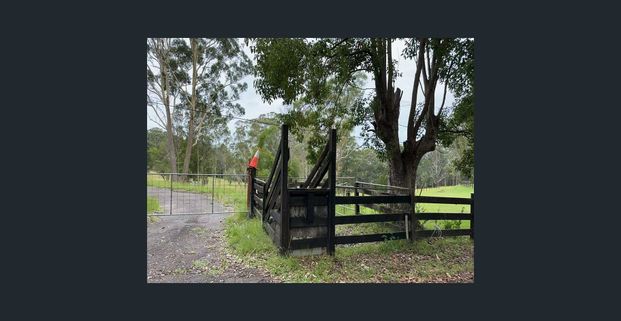 Convenient Family Home - Photo 1