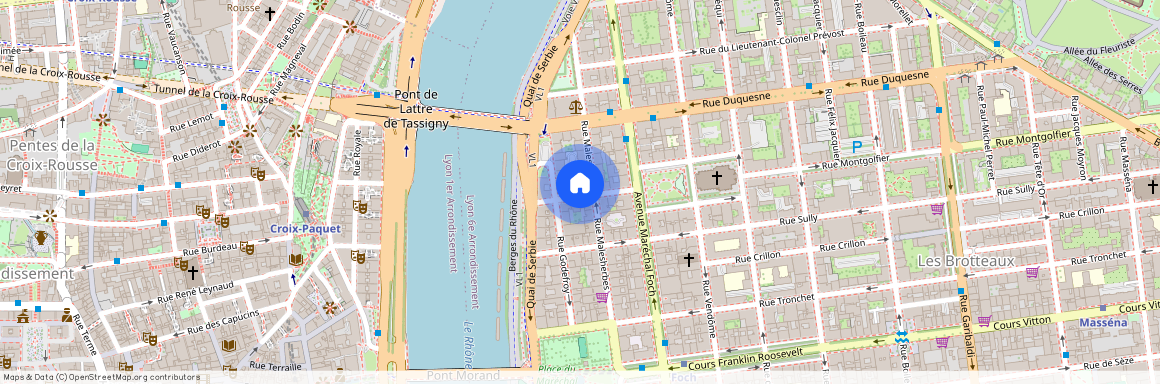 7 RUE DOCTEUR MOUISSET, LYON 6EME ARRONDISSEMENT Puvis de Chavannes