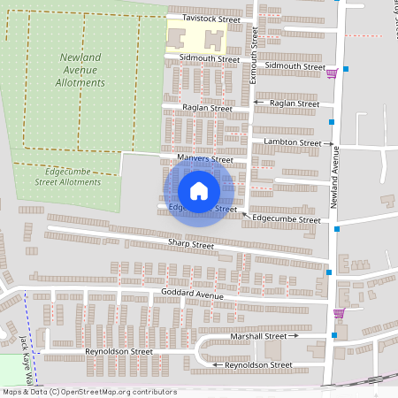 Edgecumbe Street, Hull, HU5
