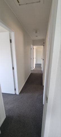 45 Collie Drive, Pukehangi - Photo 3