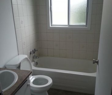 9 Étienne-Brulé - Photo 2