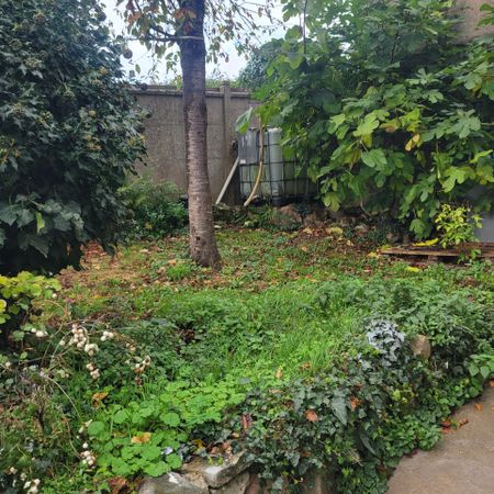 Location Appartement 1 pièce 12m² MARCOUSSIS 91460 - Photo 4