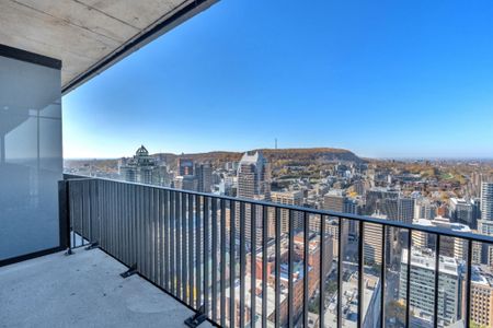 Appartement à louer - Montréal (Ville-Marie) (Centre Ouest) - Photo 5