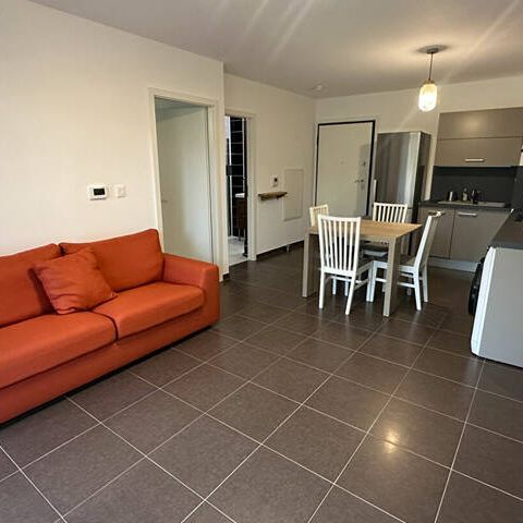 A LOUER - 2 PIECES MEUBLE AVEC TERRASSE ET JARDIN - REICHSTETT - Photo 1