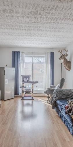 Appartement 3 ½ à louer Montcalm / Saint-Sacrement juillet 2026 - Photo 1