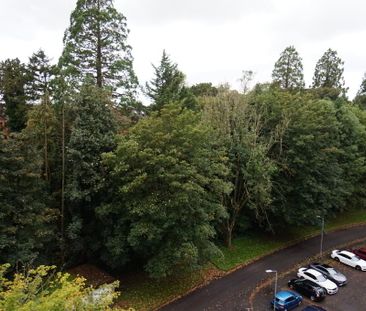 7c Ferndale House, Dunmurry, Belfast, BT17 9DB - Photo 6