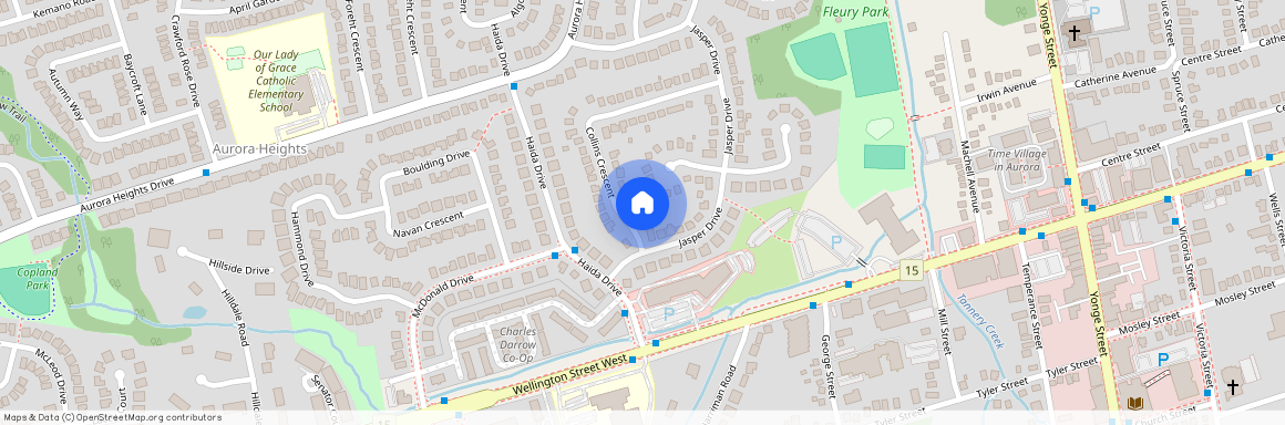 17 Collins Crescent Unit# Lower, Aurora