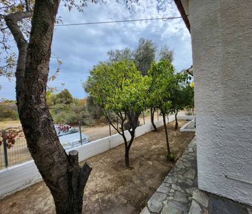 Μονοκατοικία για ενοικίαση Μαλακώντα (Ερέτρια) - Photo 6