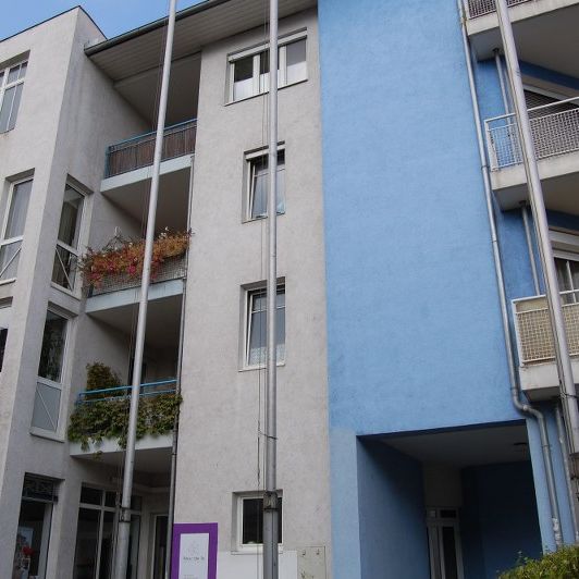 4020 Linz, Stefan-Fechter-Weg 1/47 - Foto 1