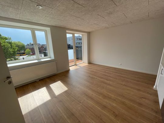 NYTORV 2,205. 6000 KOLDING – LEJLIGHED MED ALTAN I SENIORBOFÆLLESSKAB MED FÆLLESHUS - Photo 1