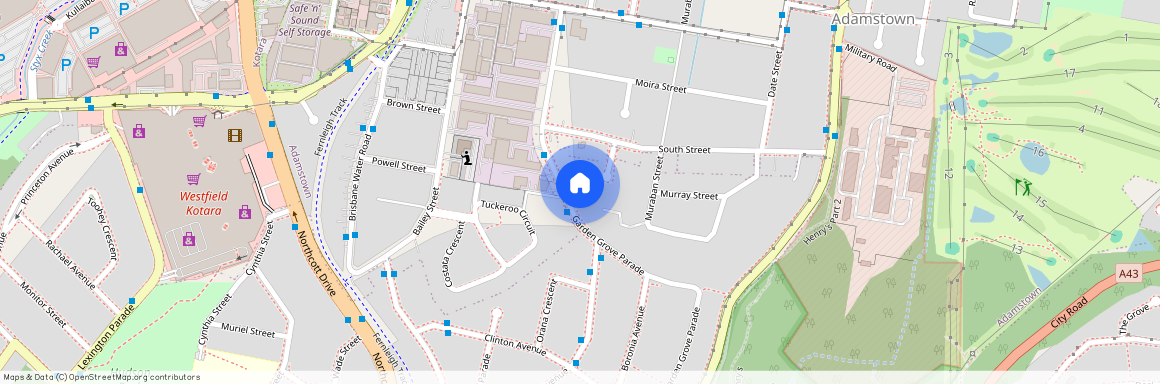 109 Garden Grove Parade, NSW 2289, Adamstown Heights