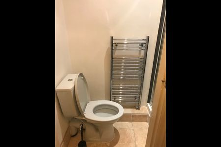 Studio Flat, Berkley Street, L8 - Photo 4