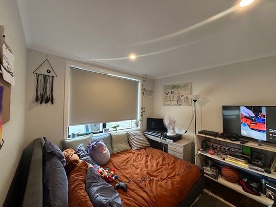 Near New on Nursery - Papamoa - Photo 1