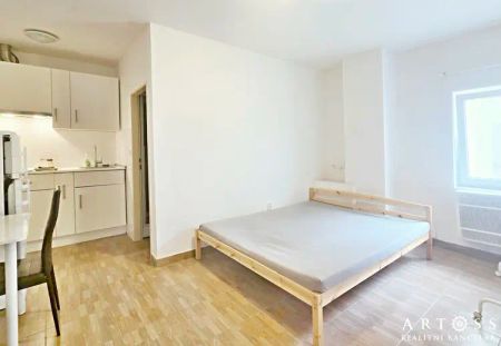 Pronájem bytu 1+kk, Brno-střed, ul. Vodní, UP 22 m - Photo 3