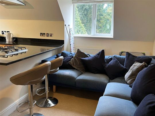 Egham Hill, Englefield Green, Egham, Surrey, TW20 0AL - Photo 1