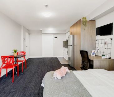 Premium Single Studio II - Photo 3