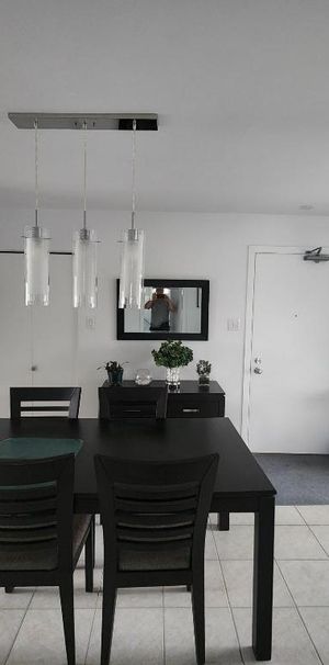 4 1/2 BOUL.CASAVANT O. ST-HYACINTHE - Photo 1