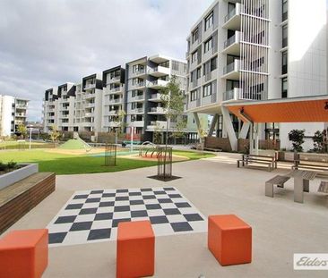 304/70 Charlotte Street - Photo 2